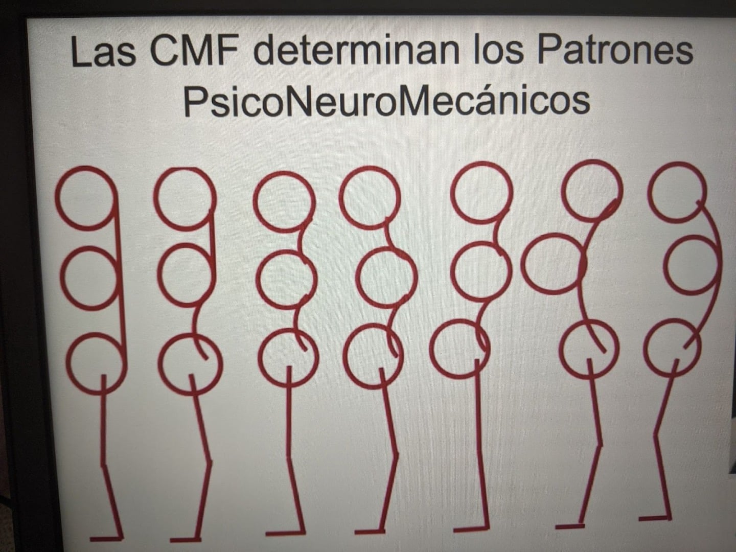 patrones patrones